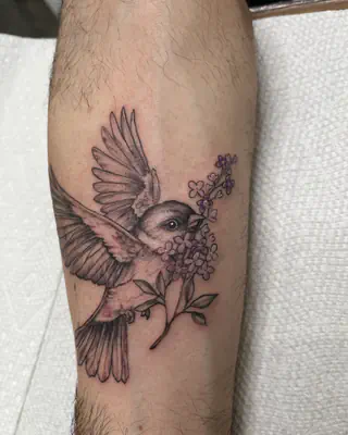 Black and grey bird in flight carrying a sprig of lilac blossoms, on a forearm
