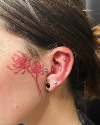 Ear piercings with studs and hoops beside a fine line red spider lily tattoo behind the ear